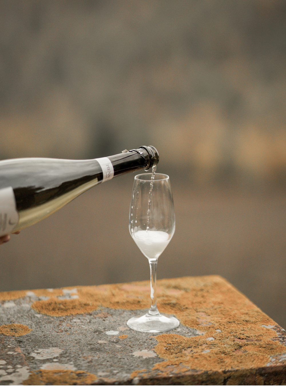 Prosecco Luna Cuvée