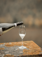 Il Prosecco Extra Dry D.O.C.