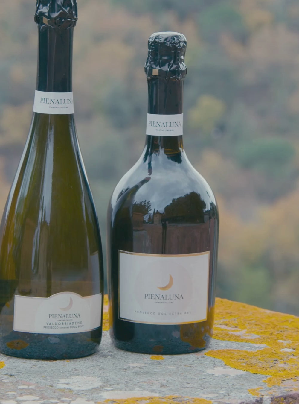 Pienaluna Valdobbiadene Brut D.O.C.G.