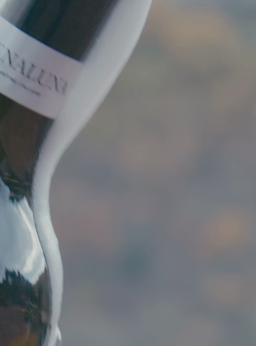 Il Prosecco Doc Extra Dry