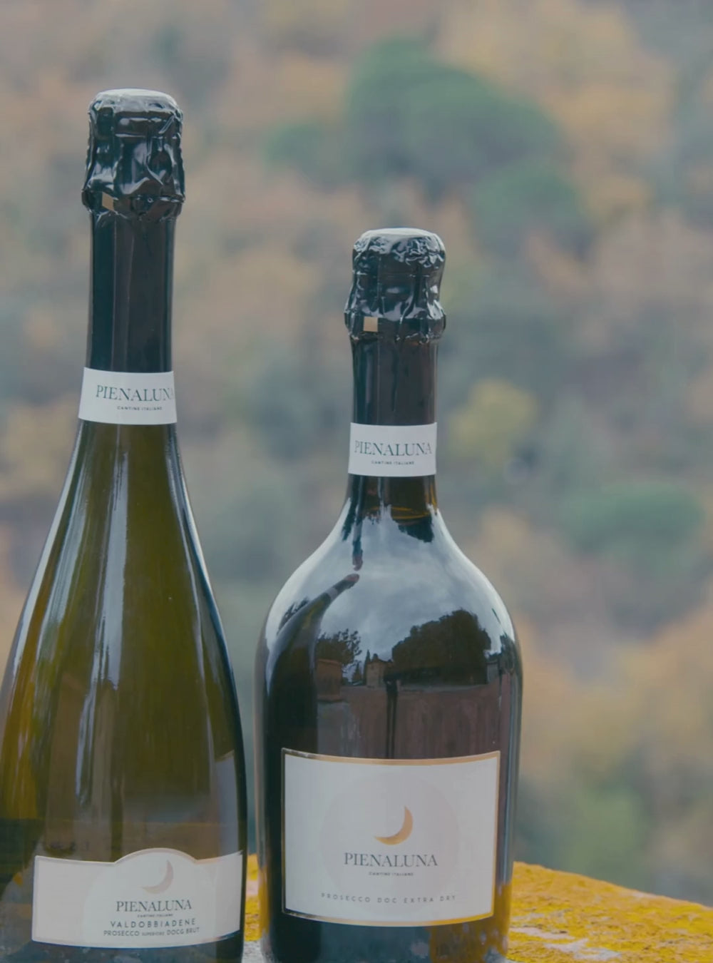 Prosecco Extra Dry D.O.C.