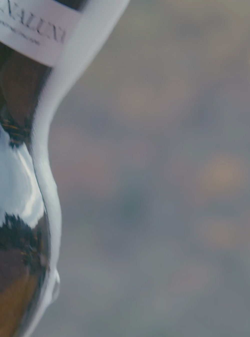 Il Valdobbiadene Prosecco Superiore DOCG Extra Dry